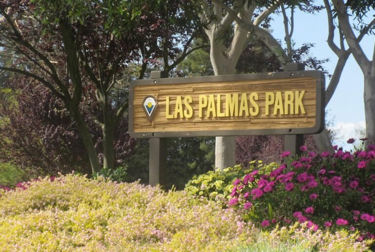 Las palmas park (1)