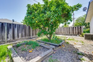 2179 Fordham Dr (15)