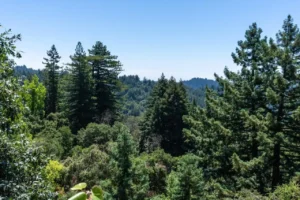 23695 Hutchinson Rd (2)