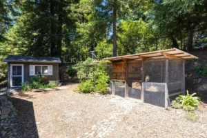 23695 Hutchinson Rd (34)