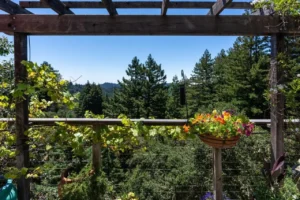 23695 Hutchinson Rd (37)