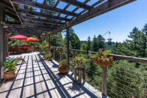 23695 Hutchinson Rd (41)